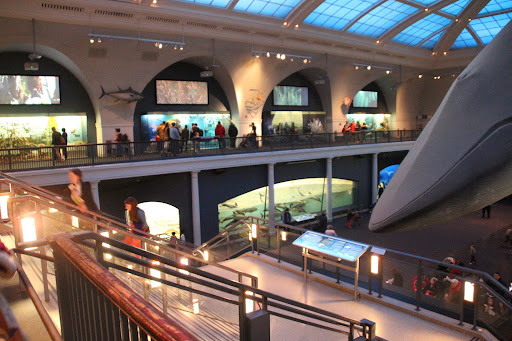 Science Museum «New York Hall Of Science», reviews and photos, 47-01 111th St, Queens, NY 11368, USA
