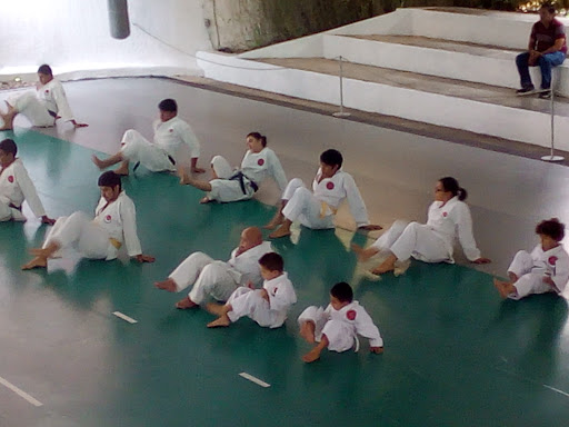 Shotokan Dojo Arias