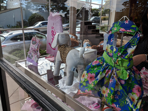 Pet Supply Store «Diggidy Dog», reviews and photos, Ocean Ave & Monte Verde St, Carmel-By-The-Sea, CA 93923, USA