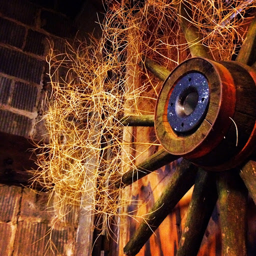 Wine Bar «Primrose & Tumbleweeds», reviews and photos, 248 E Main St, Hillsboro, OR 97123, USA