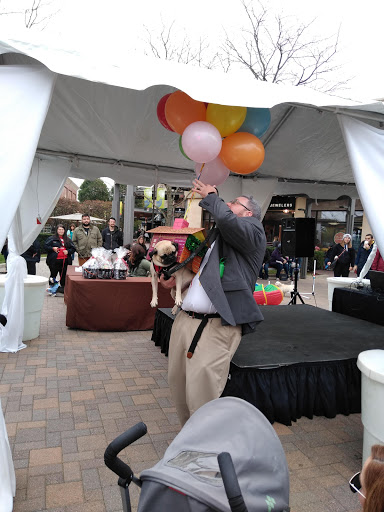 Computer Store «Apple Partridge Creek», reviews and photos, 17360 Hall Rd, Charter Twp of Clinton, MI 48038, USA