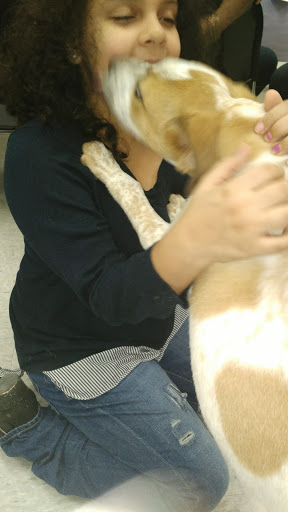 Animal Shelter «South Suburban Humane Society», reviews and photos