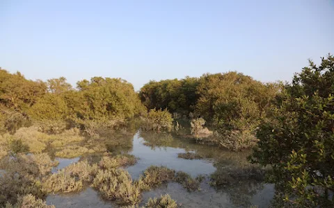 Al Dhakira Mangroves image