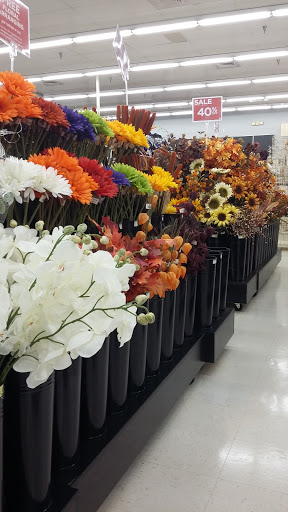 Craft Store «A.C. Moore Arts and Crafts», reviews and photos, 4250 Electric Rd, Roanoke, VA 24018, USA