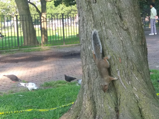 Park «Bensonhurst Park», reviews and photos, Cropsey Ave, Brooklyn, NY 11214, USA