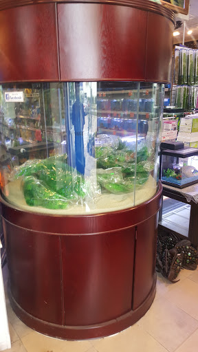 Pet Store «Fish-N-Pets Unlimited», reviews and photos, 11710 Bissonnet St, Houston, TX 77099, USA