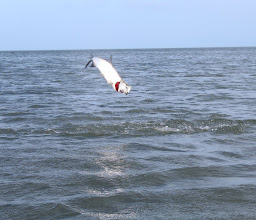 Natural San Felipe National Park photo