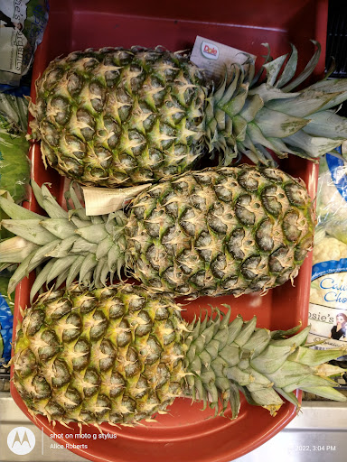 Grocery Store «Lowes Foods on Pine Grove Drive», reviews and photos, 805 Pine Grove Dr, Wilmington, NC 28403, USA