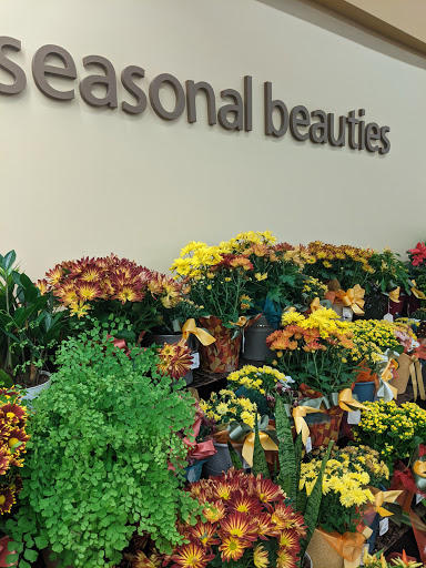 Grocery Store «Safeway», reviews and photos, 4548 Centerplace Dr, Greeley, CO 80632, USA