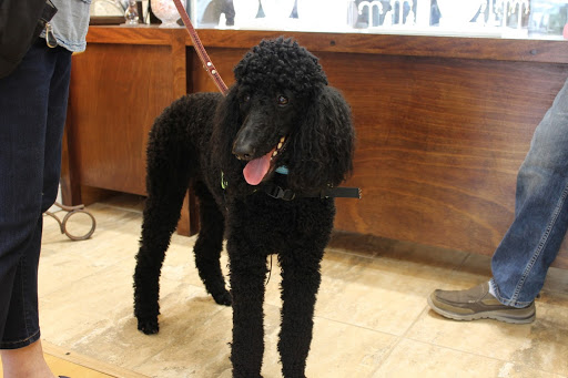 Jeweler «LeJeans Jewelers», reviews and photos, 931 N State Rd 434 Suite 1205, Altamonte Springs, FL 32714, USA