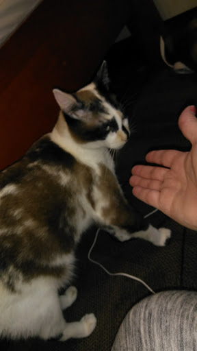 Association or Organization «YWCA Utah», reviews and photos