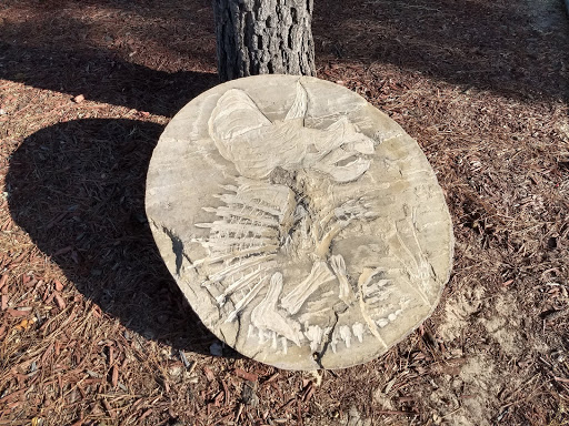 Park «J.A. Carr Park», reviews and photos, 508 Simmons Dr, Euless, TX 76040, USA