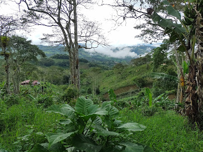 La Roniba La Cumbre Valle del Cauca