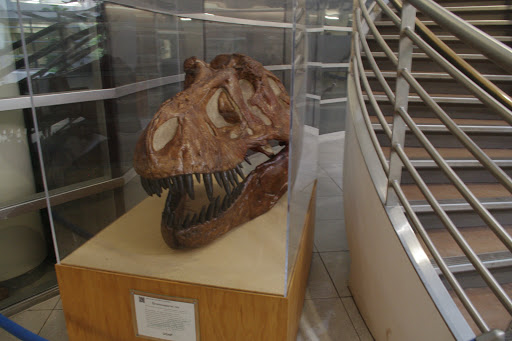 Natural History Museum «Museum of Paleontology», reviews and photos, 1101 Valley Life Sciences Bldg, Berkeley, CA 94720, USA
