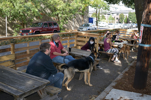 Pet Supply Store «Cycle Dog - Earth Friendly Pet Company», reviews and photos, 2215 NW Quimby St, Portland, OR 97210, USA