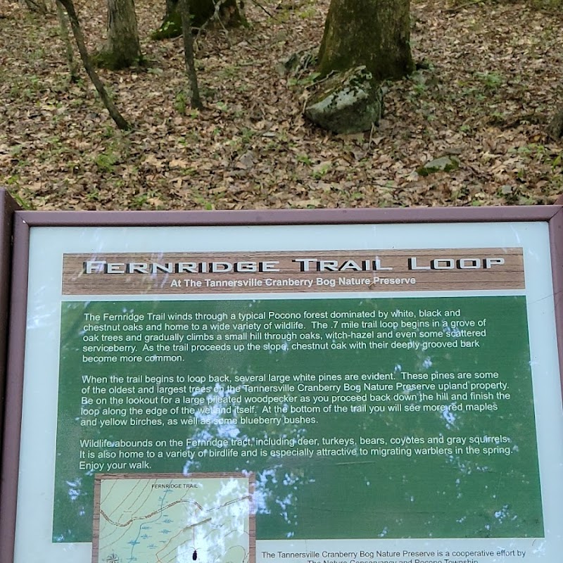 Fernridge trail loop
