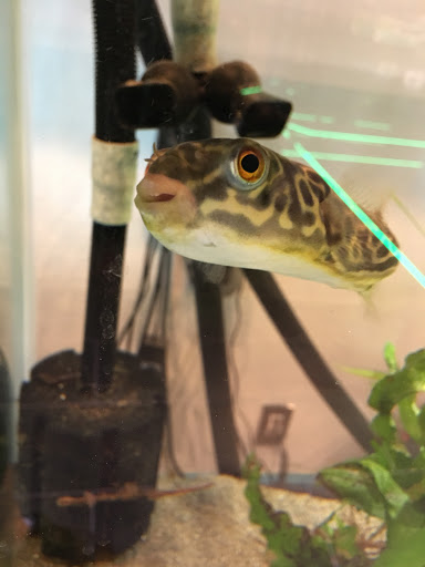 Computer Store «BrainWave Computers», reviews and photos, 8610 SW Scholls Ferry Rd, Beaverton, OR 97006, USA