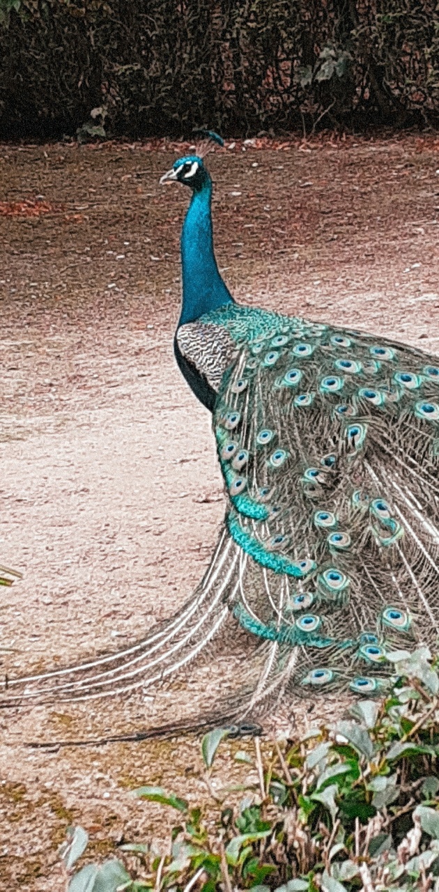 Photo n° 32 de l'avis de Ciccio.e fait le 28/07/2020 à 01:20