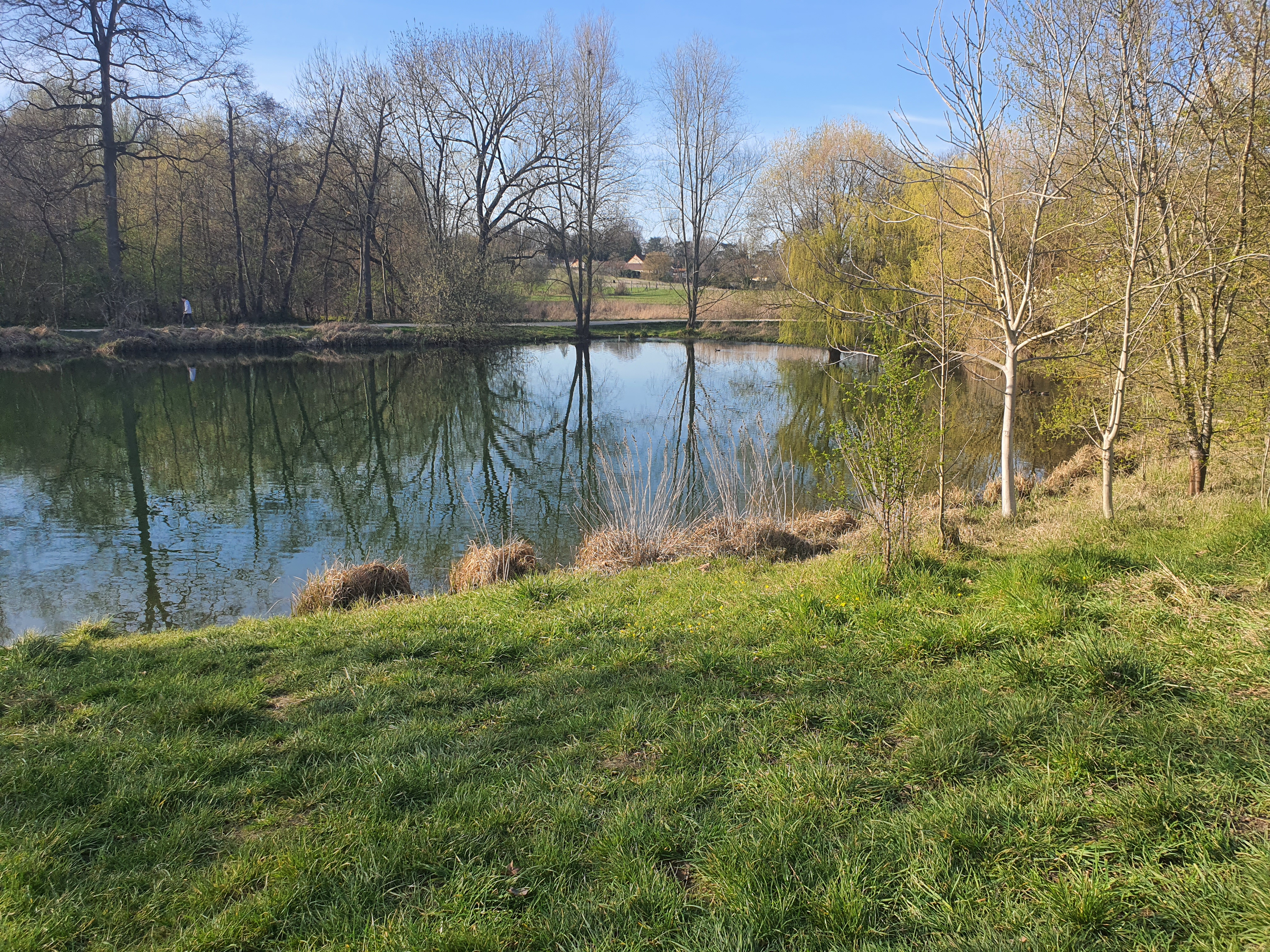Photo n° 4 de l'avis de Miguel.o fait le 30/03/2021 à 21:08