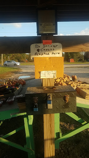 Liepes Farm & Market, 3135 S Cologne Ave, Mays Landing, NJ 08330, USA, 