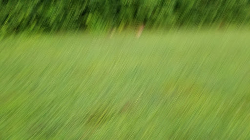 Park «Swift Cantrell Park», reviews and photos, 3140 Old 41 Hwy NW, Kennesaw, GA 30144, USA