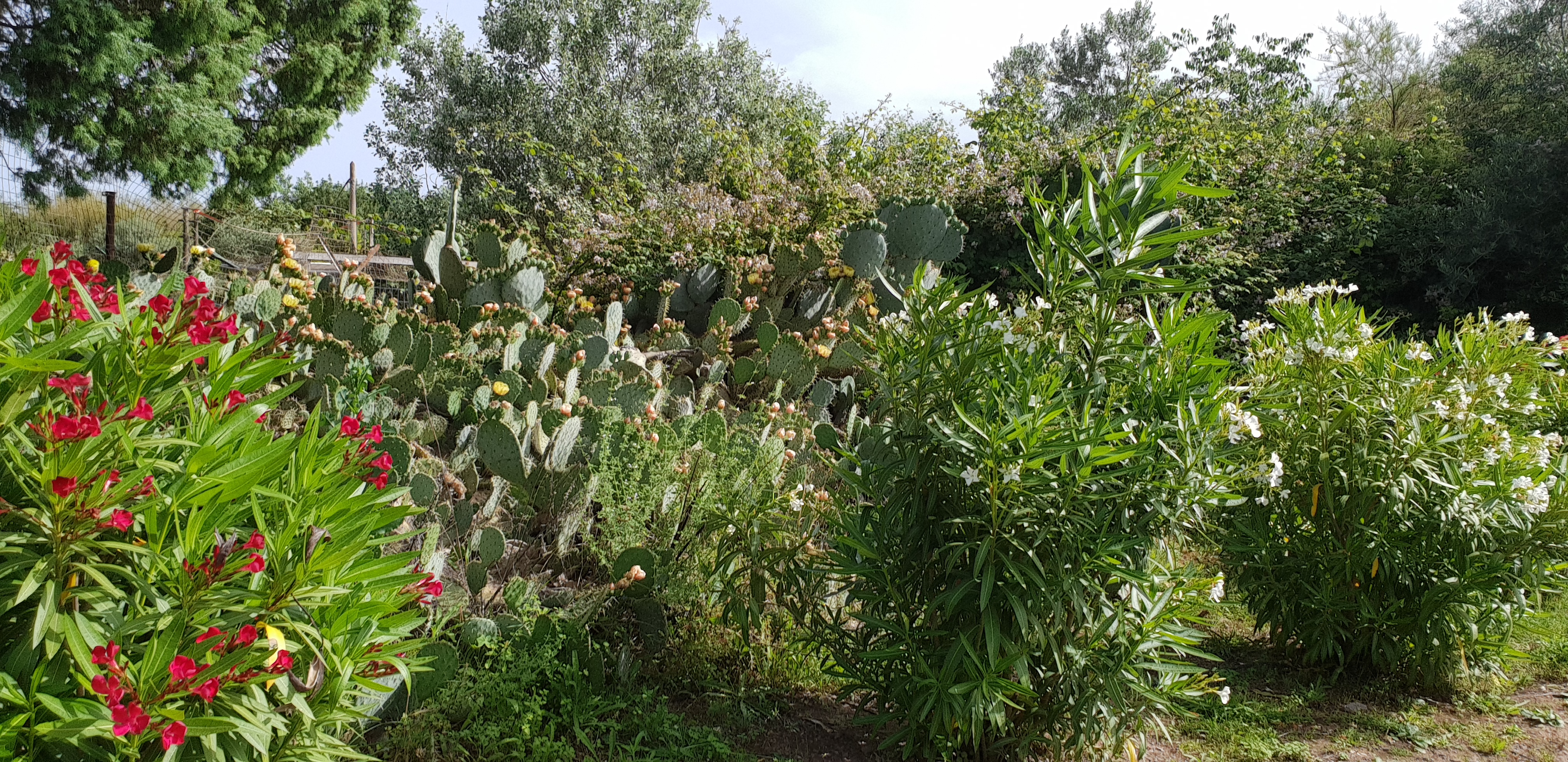 Photo n° 12 de l'avis de Anthony. fait le 11/06/2018 à 14:44