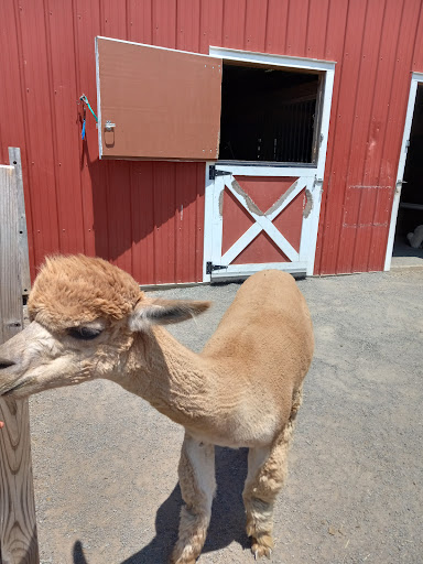 Gift Shop «Hidden Spring Lavender Farm and Gift Shoppe», reviews and photos, 890 Belle Mead-Blawenburg Rd, Skillman, NJ 08558, USA