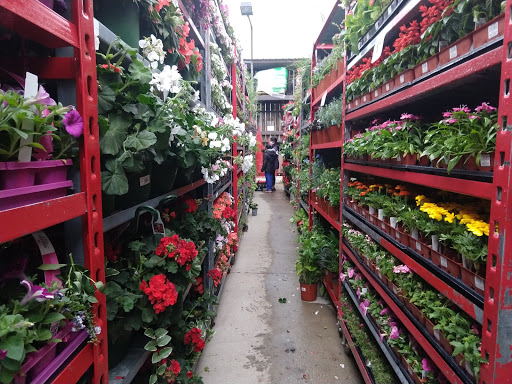 Home Improvement Store «Menards», reviews and photos, 2700 W Lake Cook Rd, Long Grove, IL 60047, USA