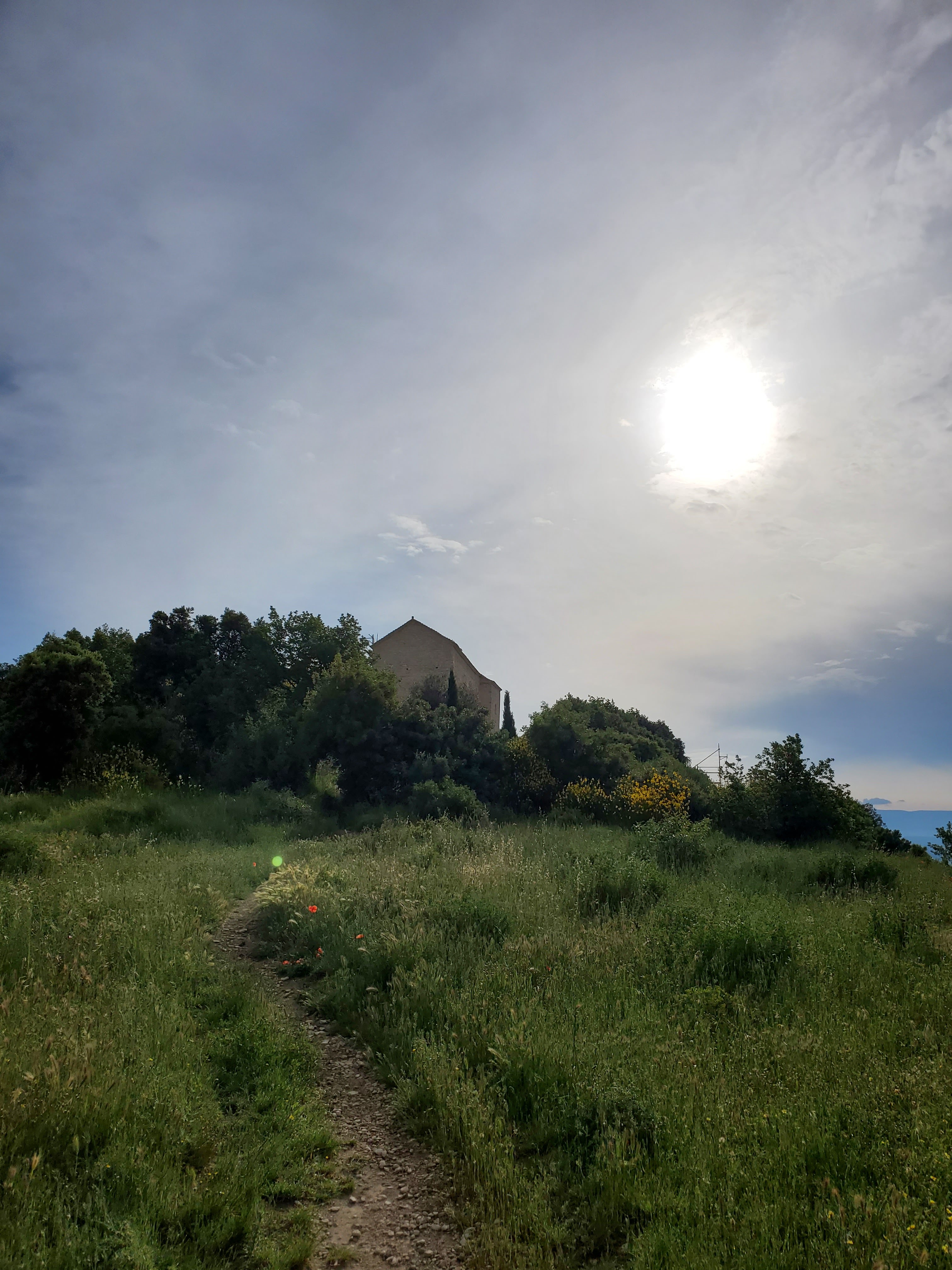Photo n° 11 de l'avis de FRANÇOISE.O fait le 11/06/2020 à 16:59