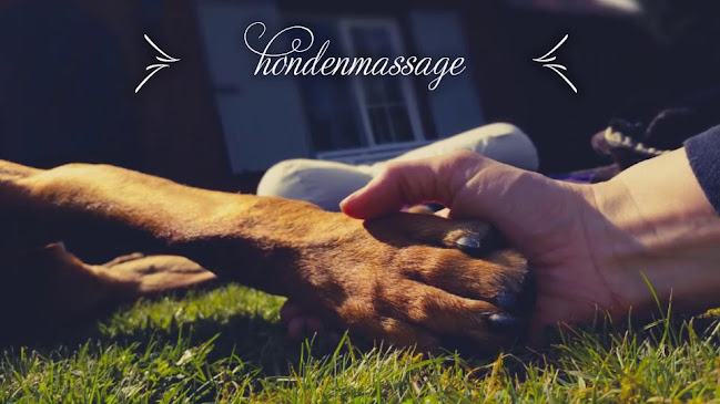 Tam's Dog house, opleidingen: Hondenverzorging Massage & More - Hondentrainer