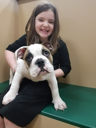 Pet Store «Petland Vineyard - San Antonio», reviews and photos, 1309 North Loop 1604 W #101, San Antonio, TX 78258, USA