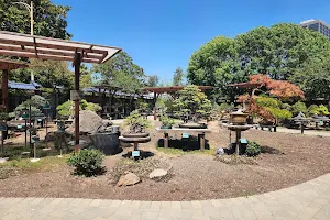 Bonsai Garden image