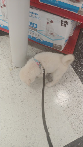 Pet Supply Store «Petco Animal Supplies», reviews and photos, 1410 N Loop 336 W, Conroe, TX 77304, USA