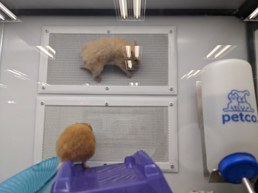 Pet Supply Store «Petco Animal Supplies», reviews and photos, 1401 E Spring Valley Rd, Richardson, TX 75081, USA