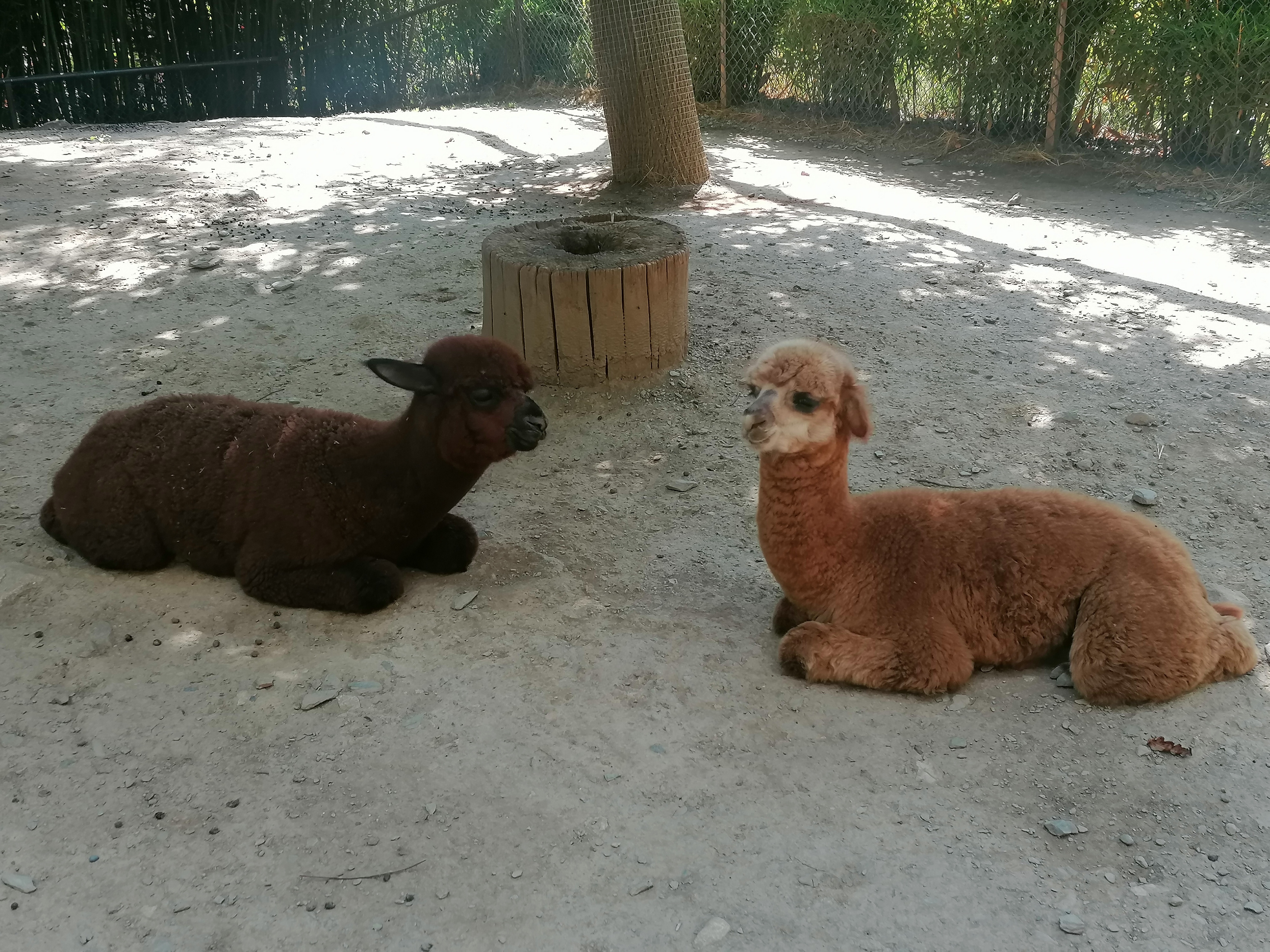 Photo n° 40 de l'avis de Gilles.. fait le 23/08/2023 à 12:57