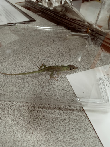 Pet Supply Store «Petco Animal Supplies», reviews and photos, 4820 South Baldwin Road #3B, Orion Township, MI 48359, USA