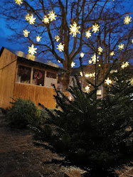 Weihnachtsbäume Schnyder