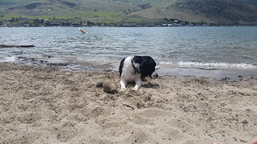 Water Park «Slidewaters ~ Lake Chelan Waterpark», reviews and photos, 102 Waterslide Dr, Chelan, WA 98816, USA