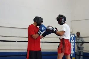 ASG boxing image