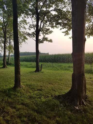 Vineyard «Laurentia Vineyard & Winery», reviews and photos, 4599 S Madison Rd, Madison, OH 44057, USA