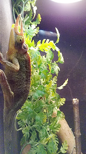 Pet Supply Store «CountryMax - Geneseo», reviews and photos, 4101 Lakeville Rd, Geneseo, NY 14454, USA