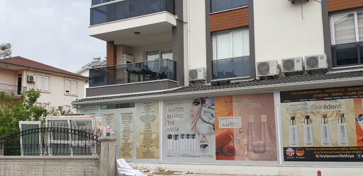 Dr. Baumann Das Institut