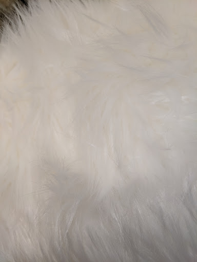 Fabric Store «Jo-Ann Fabrics and Crafts», reviews and photos, 154 N Peters Rd, Knoxville, TN 37923, USA