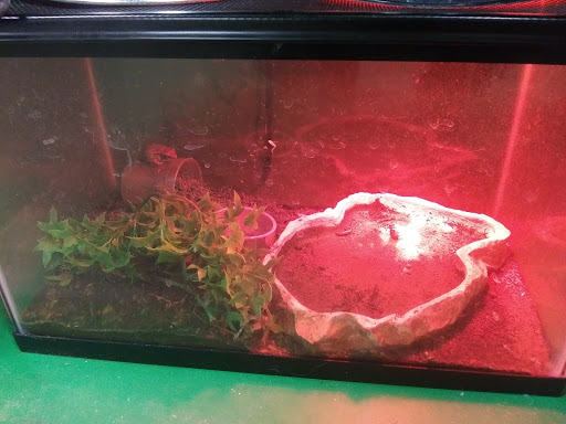 Pet Supply Store «Saluda River Pet», reviews and photos, 130 Robin Helton Dr, Boiling Springs, SC 29316, USA