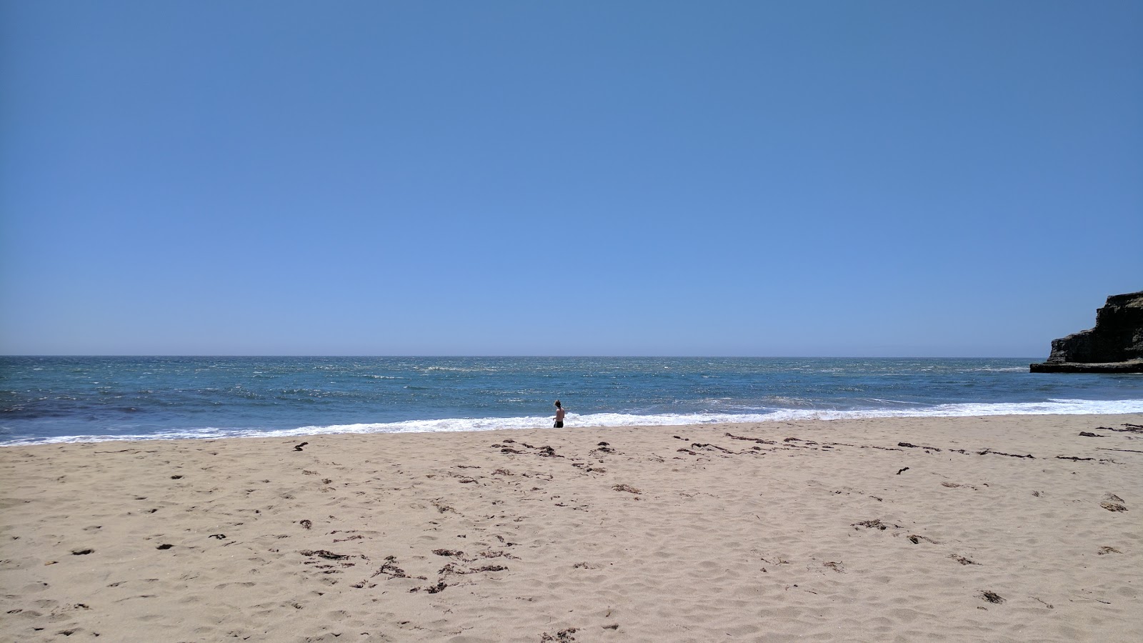 Foto di Davenport Beach zona selvaggia