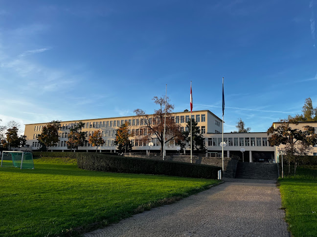 Sekundarschule Buhnrain Zürich Öffnungszeiten