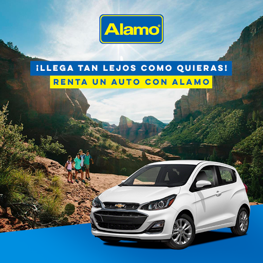 Alamo Renta de Autos