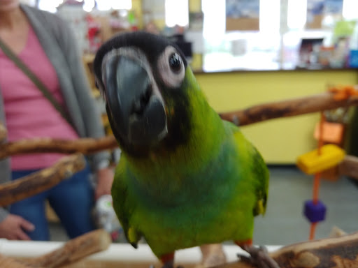 Pet Supply Store «Our Pet World», reviews and photos, 380 Semoran Commerce Pl, Apopka, FL 32703, USA