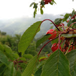 Photo n°1 de l'avis de Giacomo. fait le 17/05/2019 à 17:32 sur le  Hotel 660 à Acri