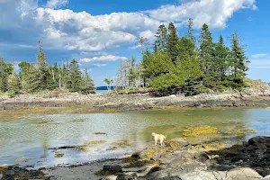 Frank E. Woodworth Preserve image